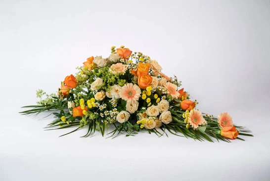 Super-Complex-Clipping-Path-Service_Before