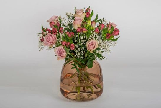 Clipping-Path-Service_Before