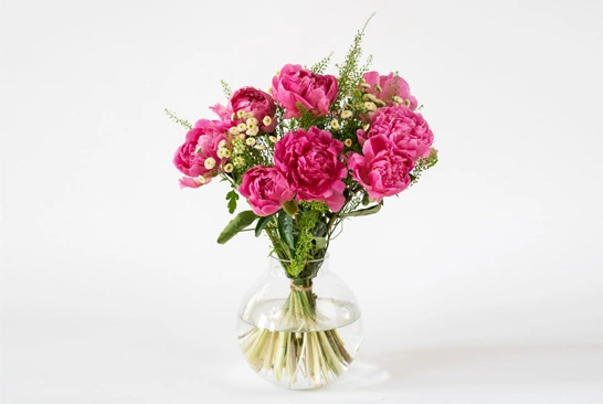 Super-Complex-Photo-Editing_Before